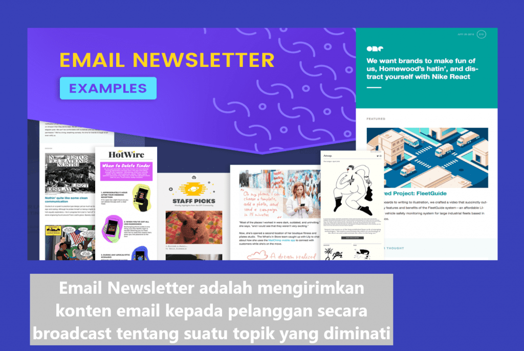 Contoh email newsletter
