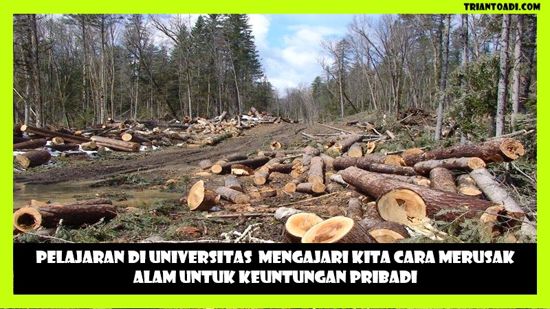 Pelajaran sekolah mengajari kita cara merusak alam