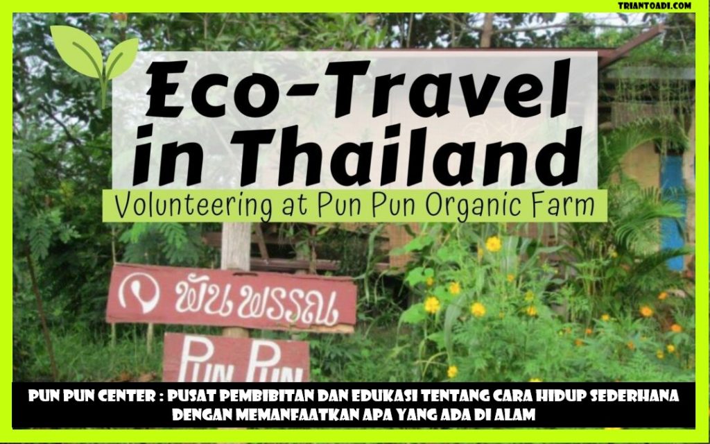 Pun pun center pusat pembibitan Thailand