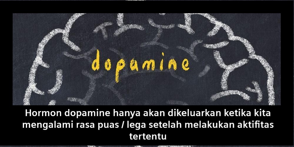 hormon dopamine